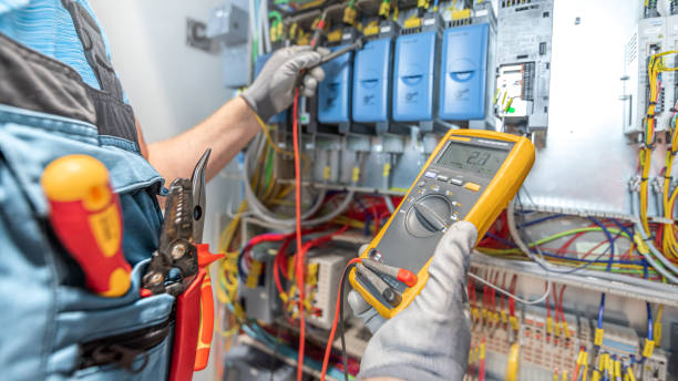 Best Electric Panel Repair  in Freeport, TX